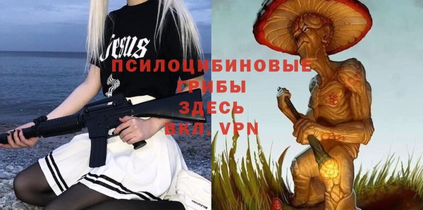 ALPHA PVP Корсаков