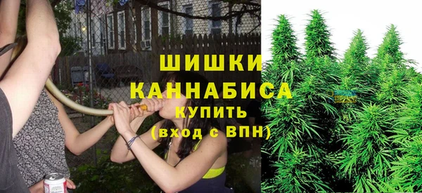 МДПВ Коряжма