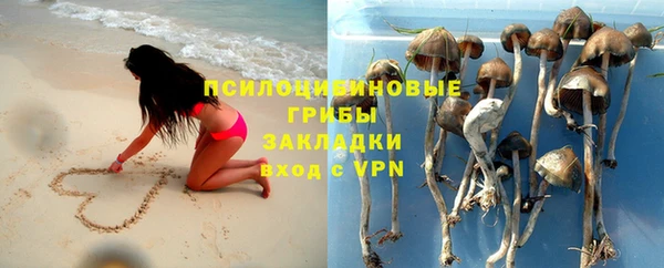 ALPHA PVP Корсаков