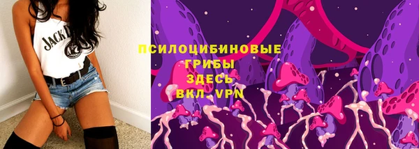 стаф Костерёво