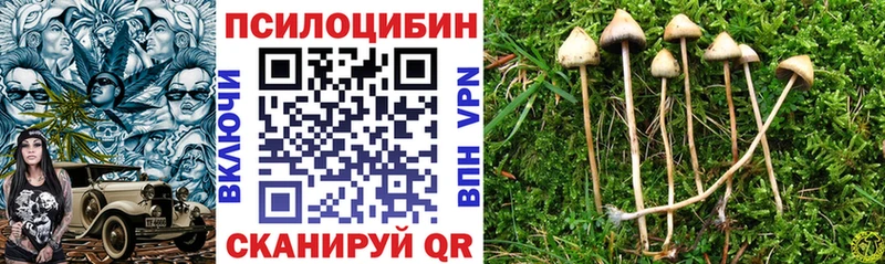 дарнет шоп  Нефтегорск  Галлюциногенные грибы Psilocybe 
